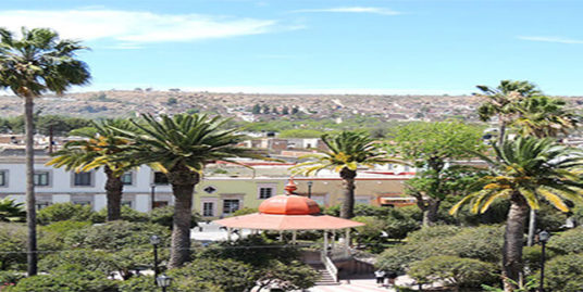 rincón de romos