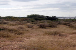 Terreno barato